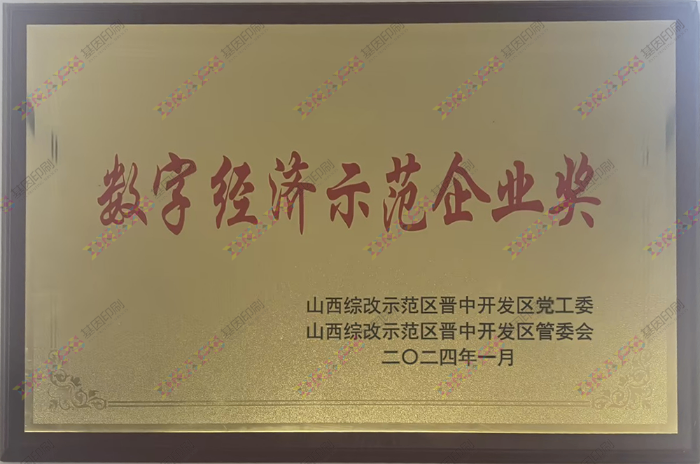 數字經濟示范企業獎